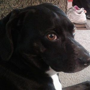 Meet your Posher, Grace